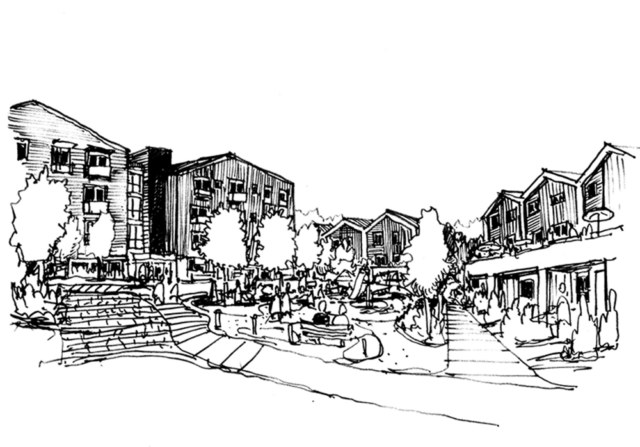 Hollyburn Burr - sketch